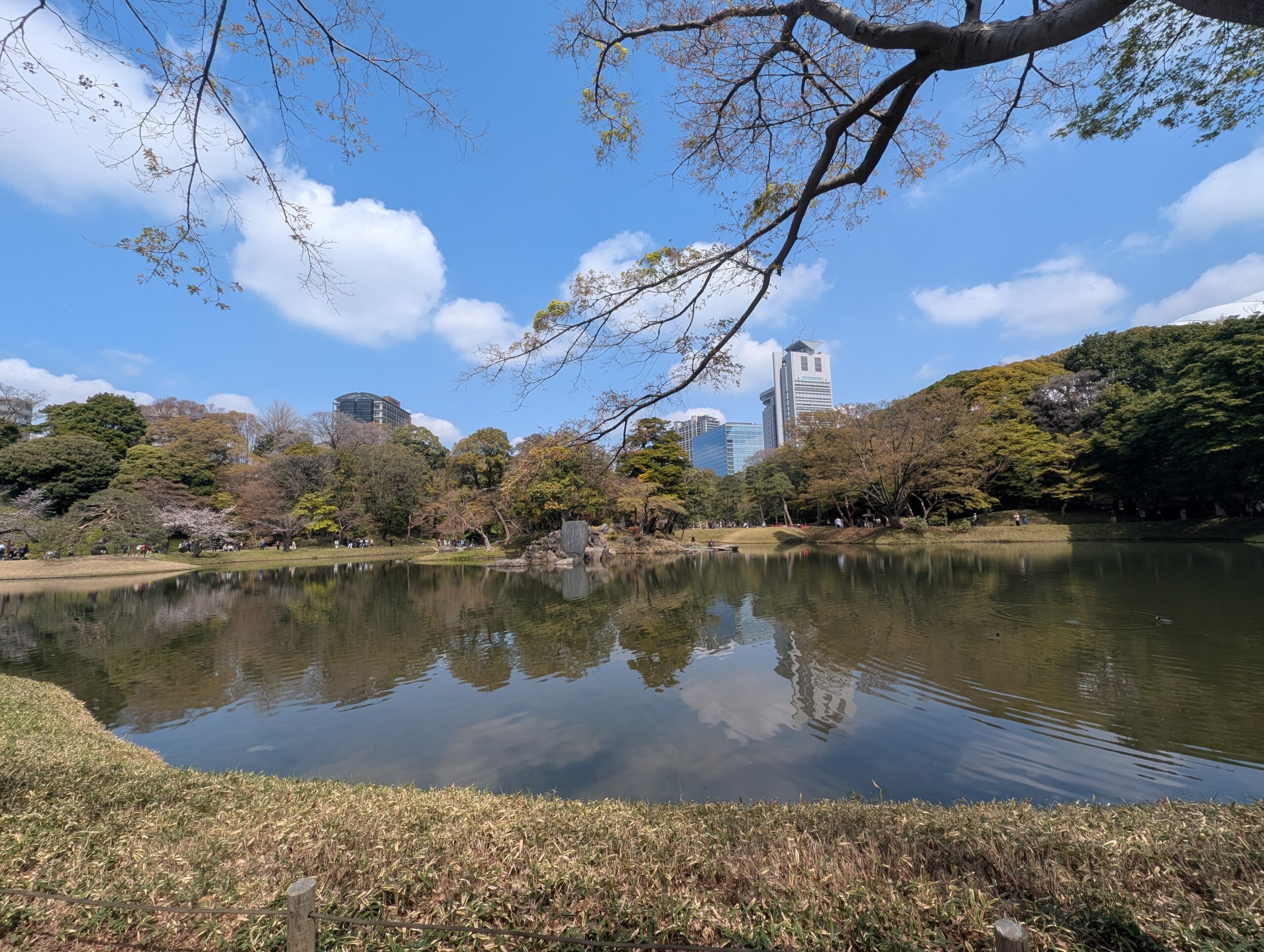 小石川後楽園の池と周辺の景色