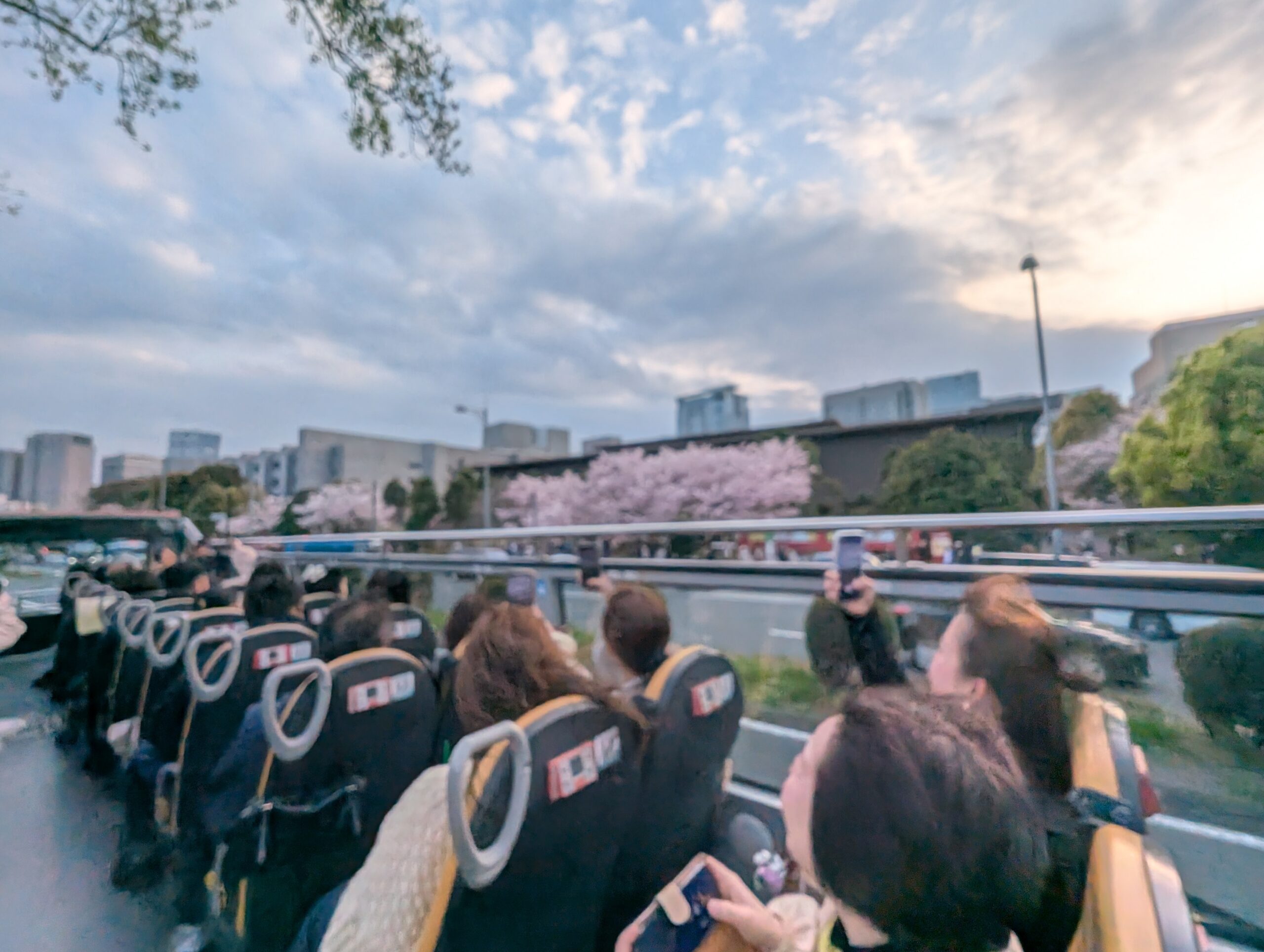 スカイバスから見えた東京の桜