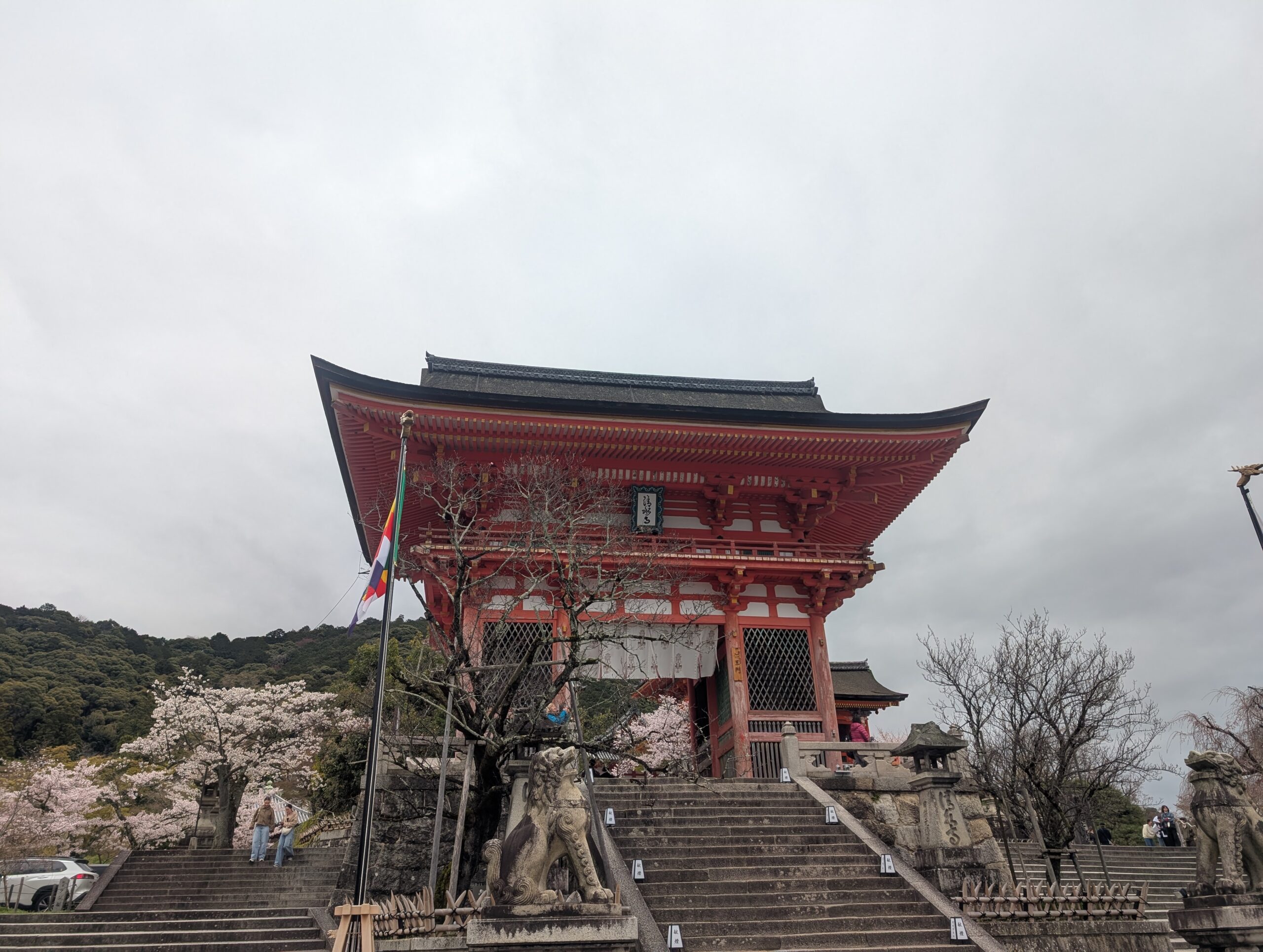 清水寺の入り口と桜