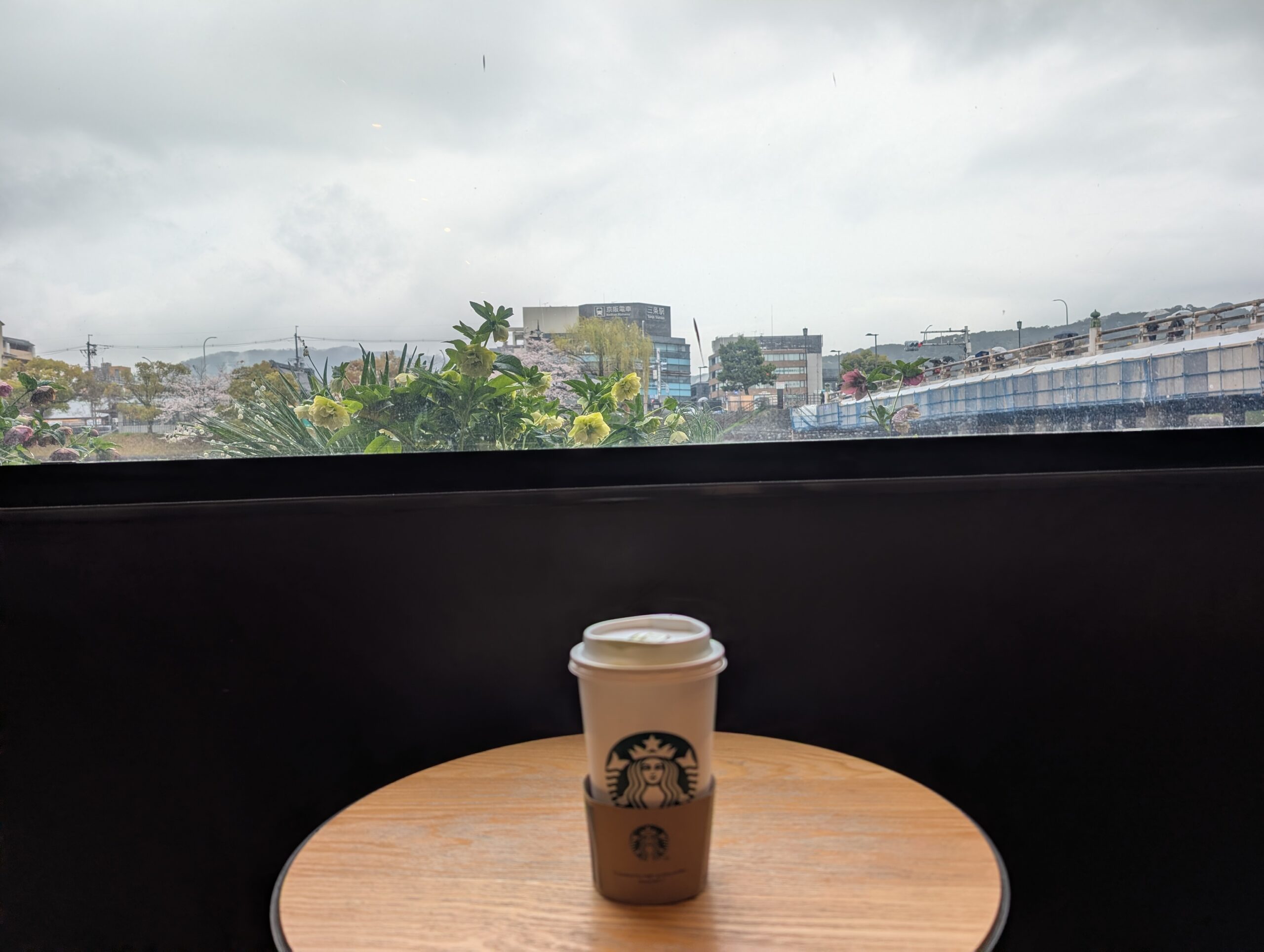 三条大橋近くのスタバから見た鴨川と桜