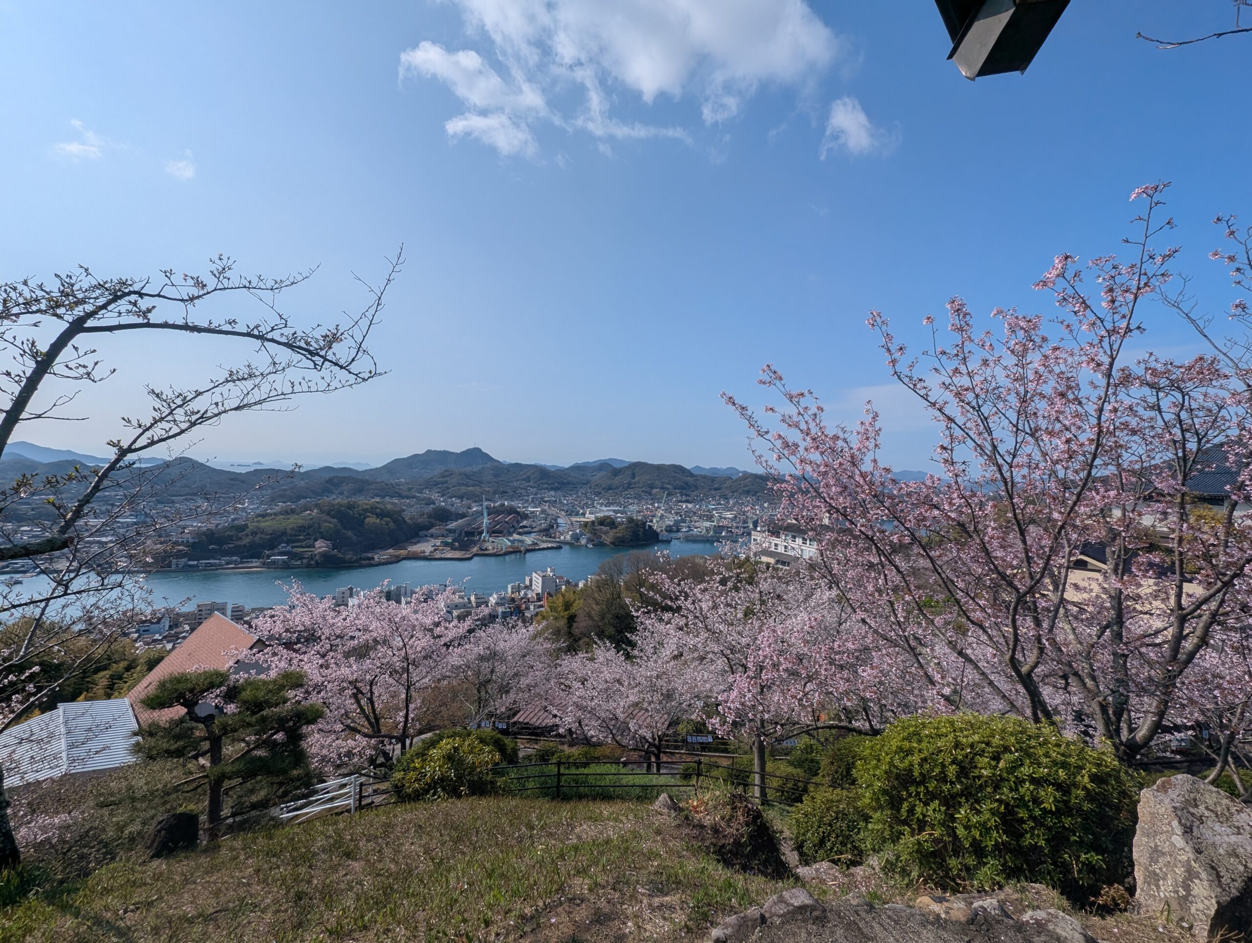 千光寺公園の桜と尾道の景色