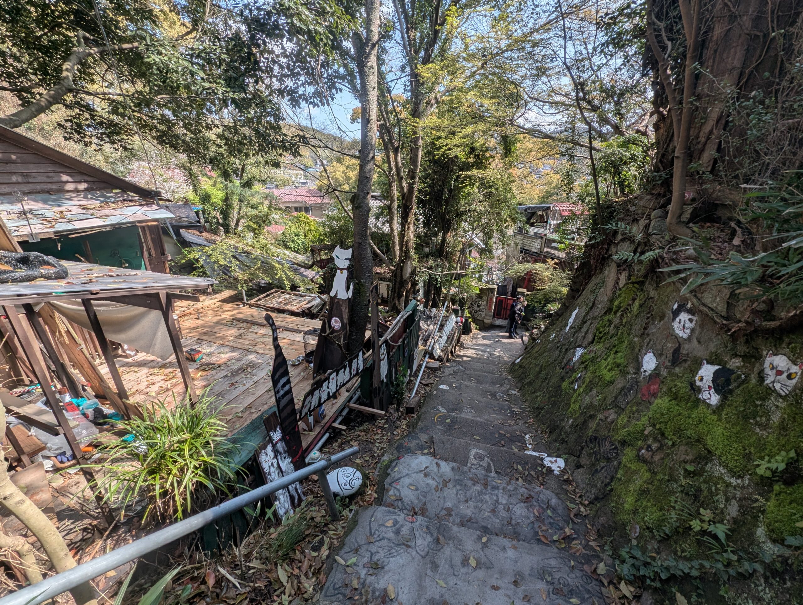 尾道の猫の細道