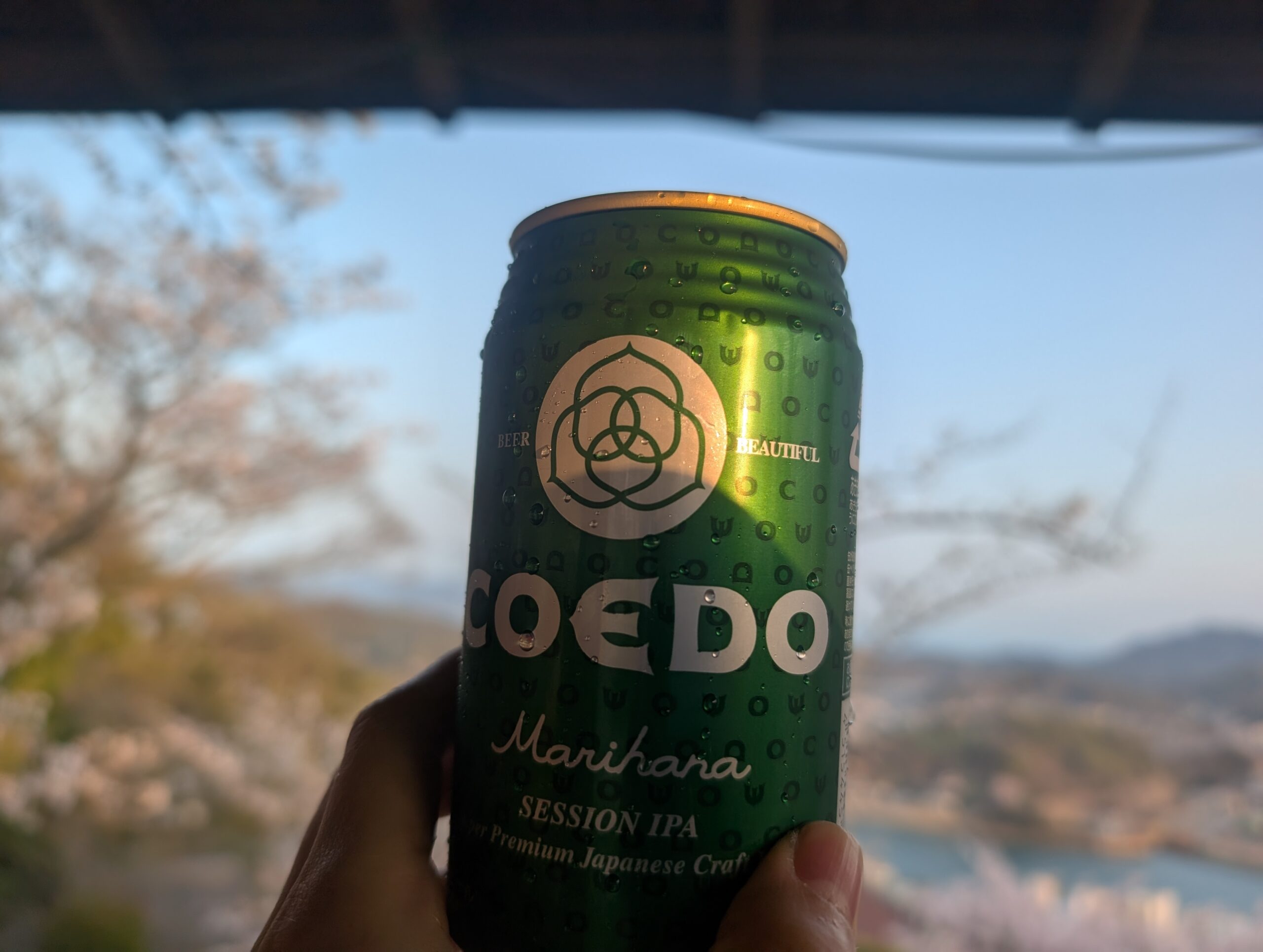 千光寺公園で夜景を見ながら飲んだクラフトビール