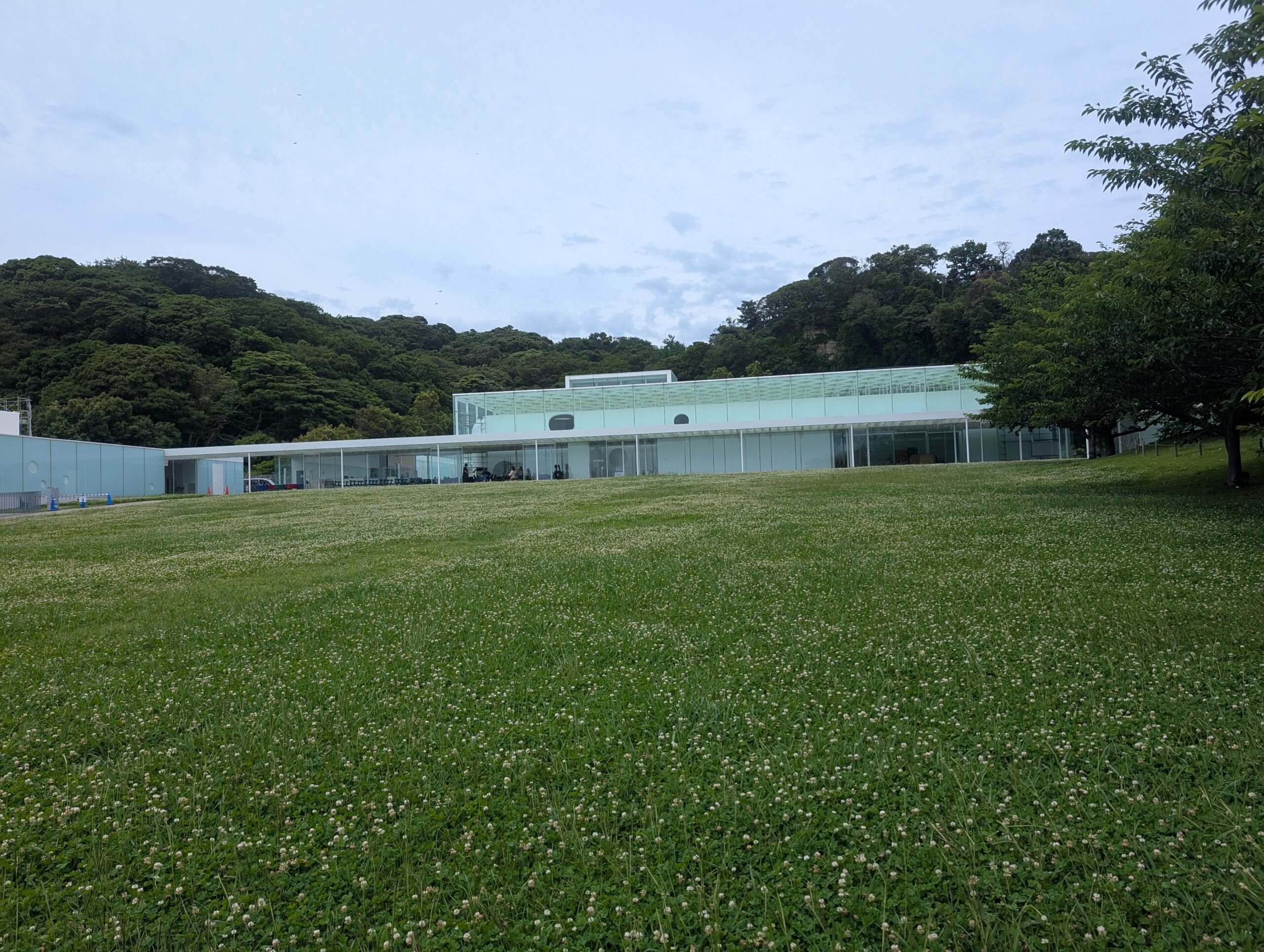 道路から横須賀美術館へ続く緑に囲まれた道